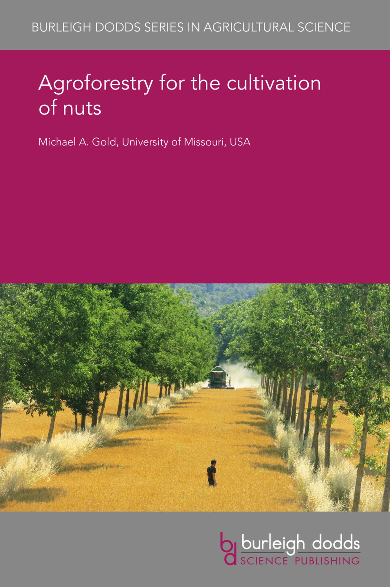 Agroforestry for the cultivation of nuts